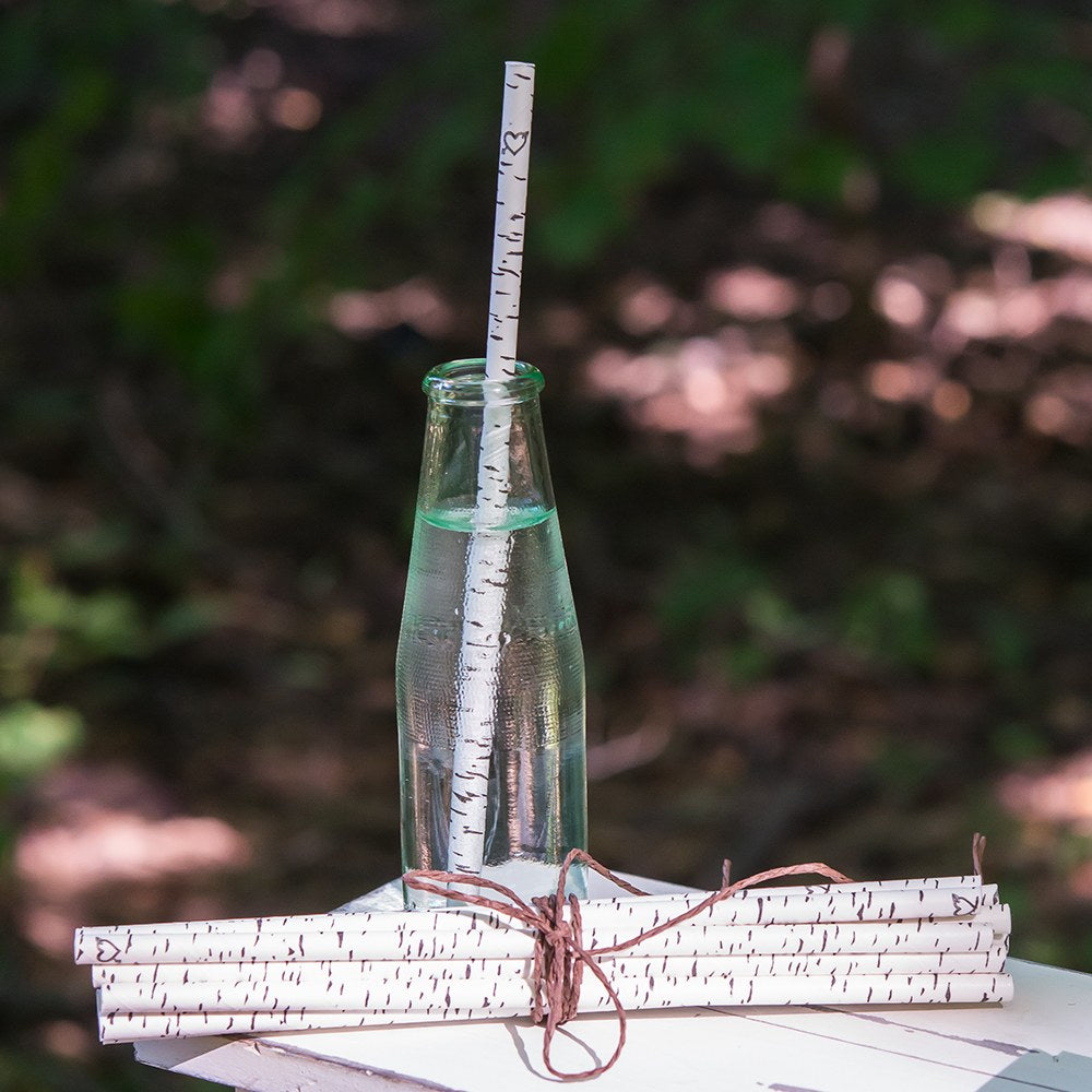 Birch Bark Print Paper Straws 25ct