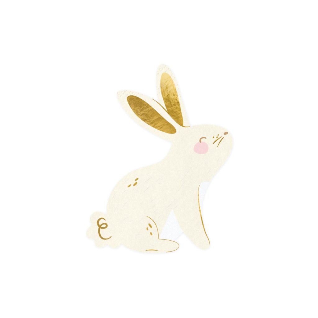 Spring Bunny Dessert Napkins 20ct