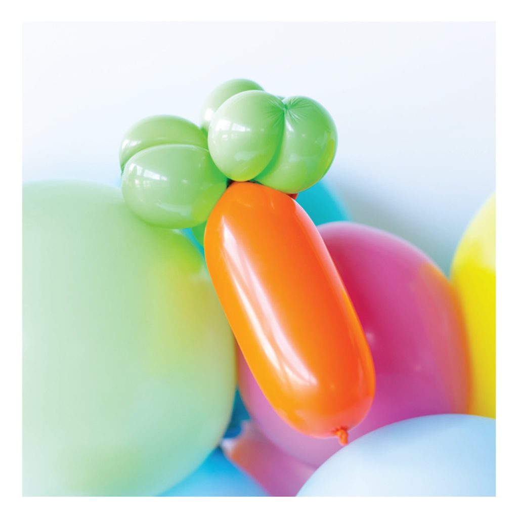 Carrot Mini Balloon Kit