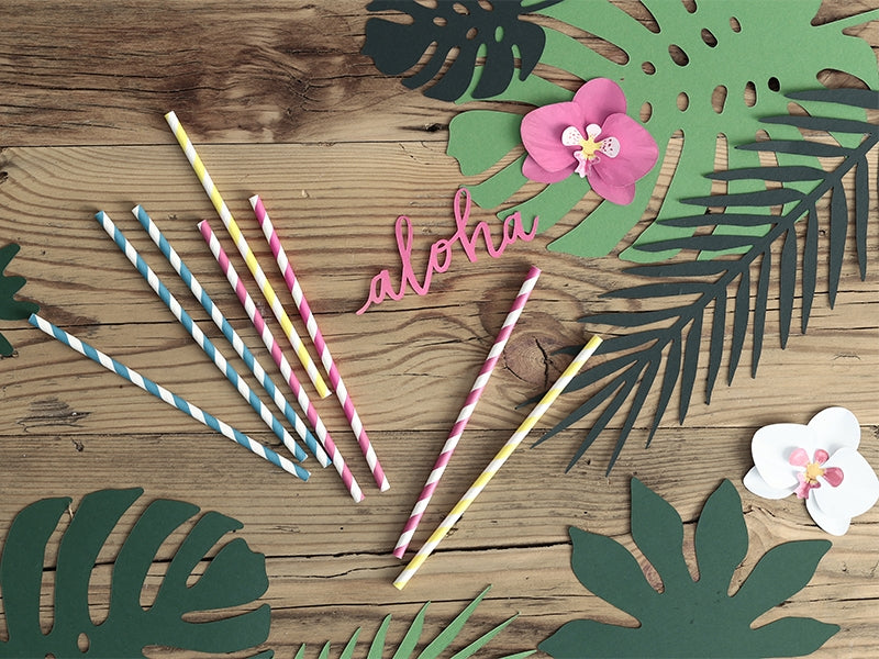 Dark Pink Striped Paper Straws