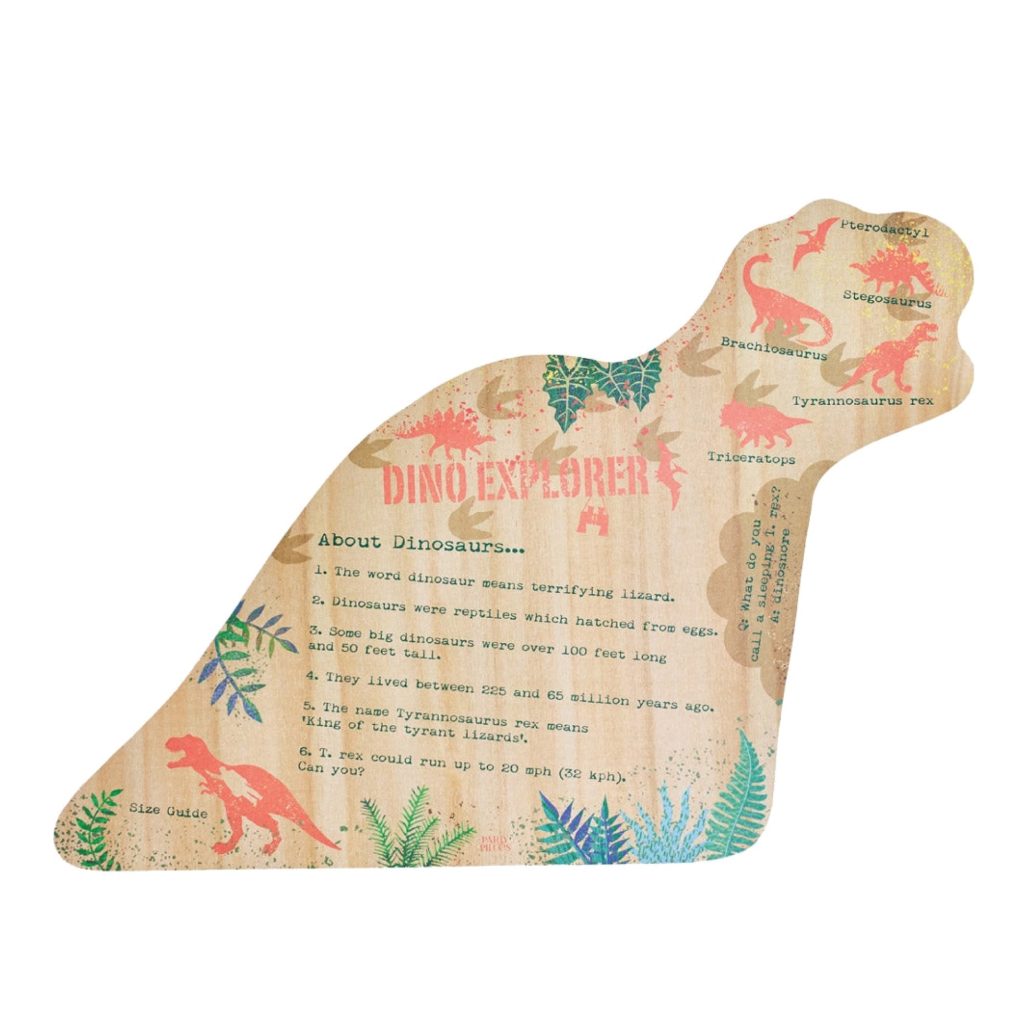 Dinosaur Explorer Paper Placemats 12ct