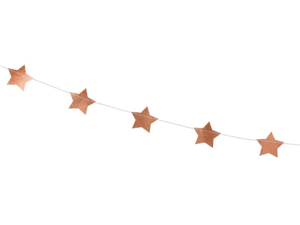 Rose Gold Star Garland 12′