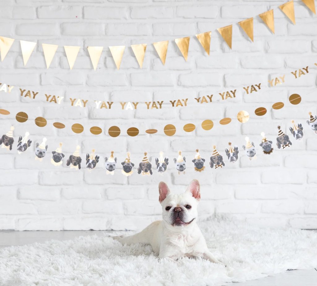 Party Animals Dog Banner 6ft