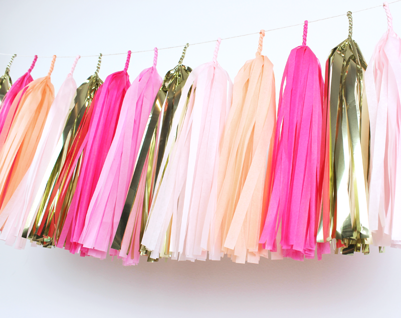 Pink Party Tassel Garland Kit