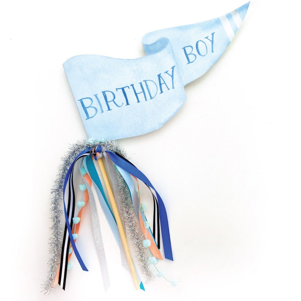 Birthday Boy Pennant Flag