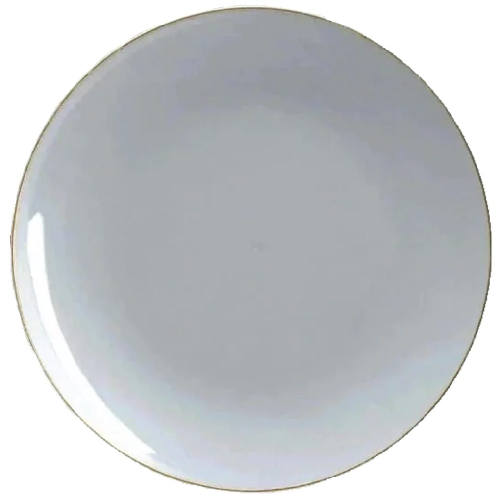 Gray With Gold Rim Plastic Dinner Plates 10ct