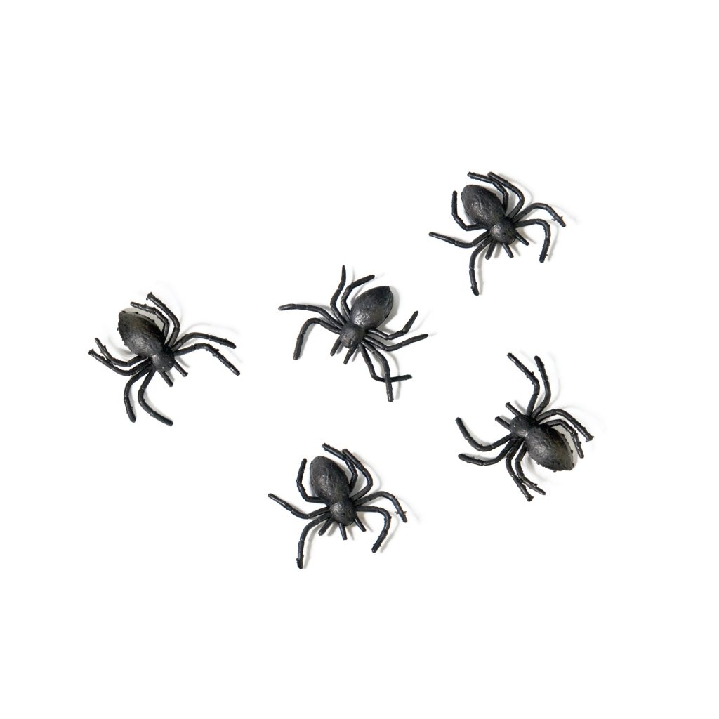 Black Plastic Spiders 10ct