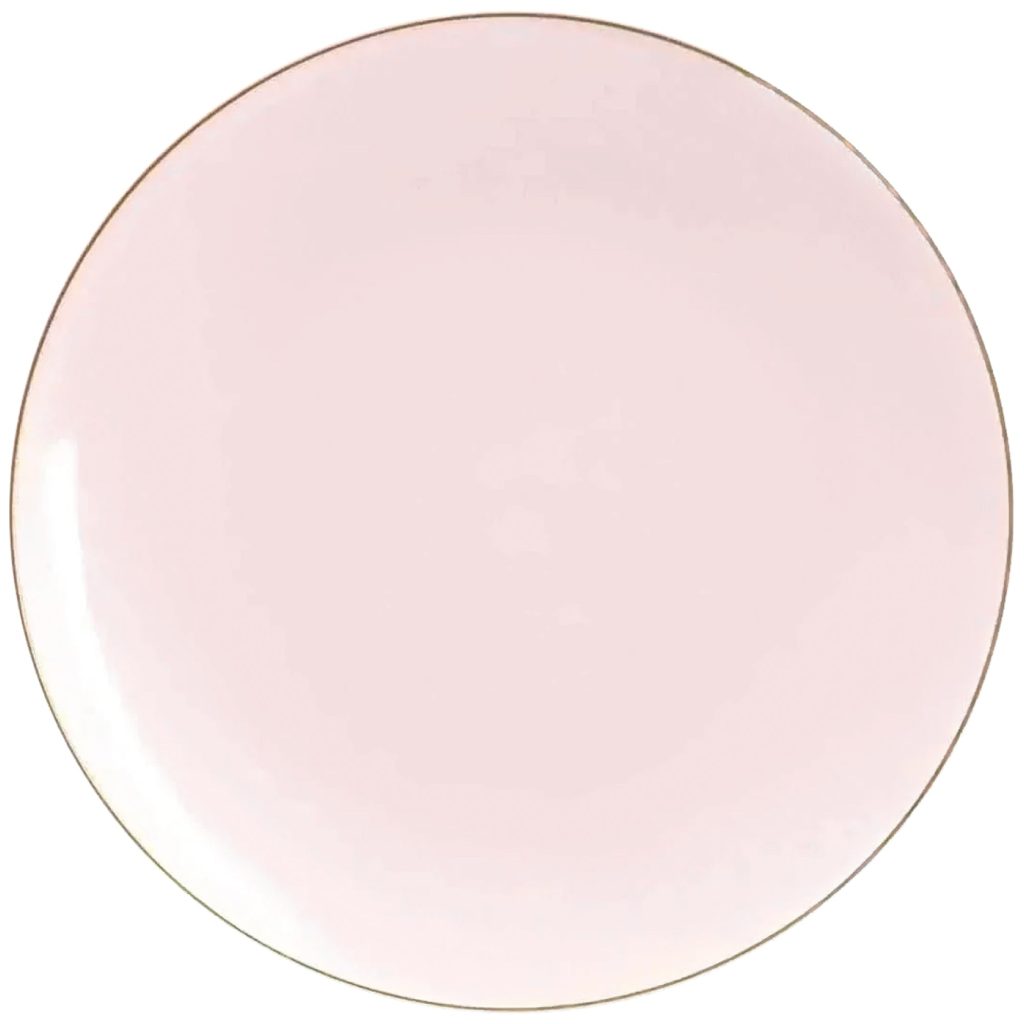 Pale Pink & Gold Rim Plastic Dinner Plates 10ct