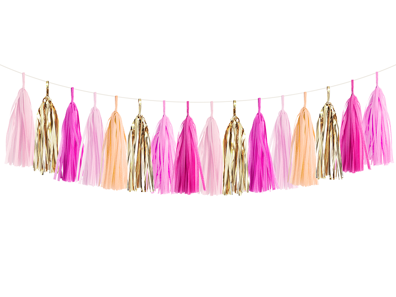 Pink Party Tassel Garland Kit