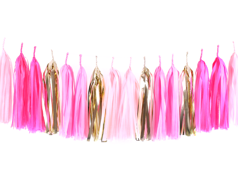 Pink Ombre & Gold Tassel Garland Kit