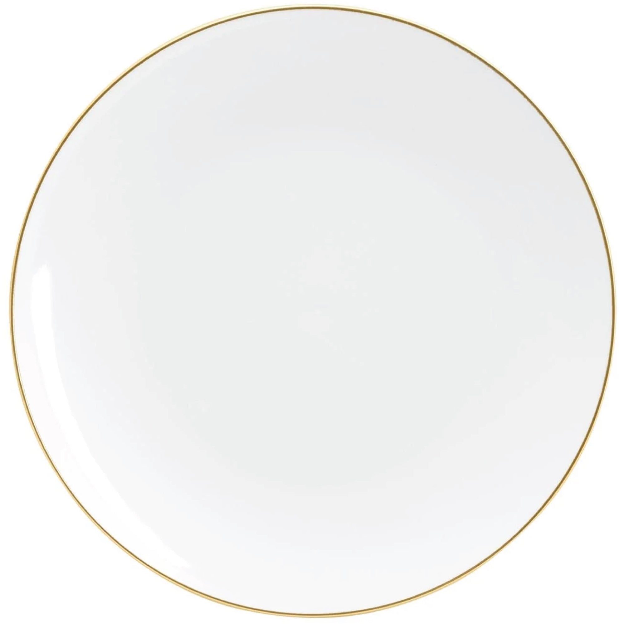 White With Gold Rim Plastic Dinner Plates 10ct