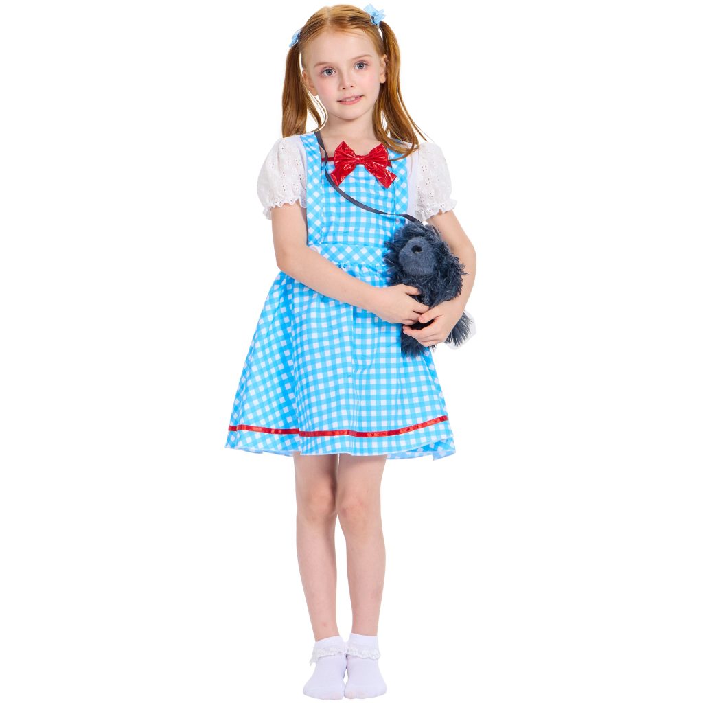 Girls’ Blue Gingham Storybook Costume